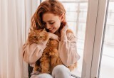 Владельцы котов и кошек: почему они обладают лучшим здоровьем?