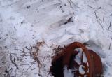 Вологодчина готовится к жестокой весне: крыши домов дрожат под тяжестью снега и сосулек