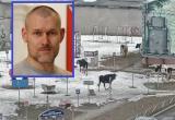 Заммэра Вологды Андрей Накрошаев пообещал решить проблему неприкаянных коров в Заречье