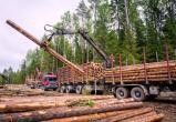  Группа компаний «Вологодские лесопромышленники» Вконтакте
