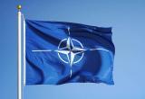 изображение сгенерировано ИИ изображение сгенерировано ИИ