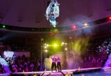 Московский цирк на воде в Вологде. Рио. Афиша Вологды