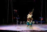 Московский цирк на воде в Вологде. Рио. Афиша Вологды