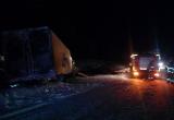 Девять человек погибли в аварии вологодского микроавтобуса под Петербургом (ВИДЕО, ФОТО)