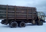 В Вологодской области задержан лесовоз с древесиной