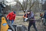 Вологодские чиновники привели в порядок Ковыринский парк (ФОТО, ВИДЕО) 