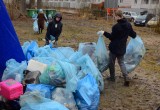 Финал "Чистых игр" избавил Осановскую рощу от полутора тонн мусора (ФОТО) 