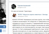В Вологде травят бездомных собак: "вологодский догхантер" начал свою охоту (ФОТО)
