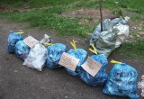 «Забери меня с собой»,-  призыв на мусорных пакетах оставляет неизвестный волонтер в Череповце (ФОТО)