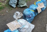 «Забери меня с собой»,-  призыв на мусорных пакетах оставляет неизвестный волонтер в Череповце (ФОТО)