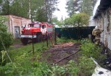 Мать с сыном погибли при  пожаре на Вологодчине (ФОТО)