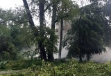 Стихия повалила дерево в Соколе: горячей воды и электричества лишились несколько домов (ФОТО)