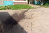 Автоледи в Череповце въехала в стену «Кружечки» (ФОТО) 