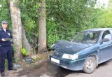 Два дерева приняли удар ВАЗа: 55-летний череповчанин не справился с управлением (ФОТО) 
