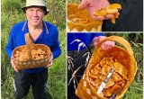 Губернатор Вологодской области Олег Кувшинников сходил по грибы и набрал корзину рыжиков