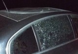 В Вологодской области иномарка влетела в лося: все живы, машина в ремонте (ФОТО) 