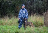 Бельгийская овчарка и полицейский из Вологды 