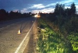 В Череповецком районе под колеса иномарки попал 13-летний велосипедист (ФОТО) 