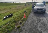 Очередное ДТП с мотоциклистом в Череповецком районе обошлось без жертв (ФОТО) 