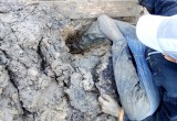 Из грязи вытянули вологодских школьников спасатели (ФОТО) 