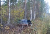 Жизнь автоледи оборвалась при столкновении с деревом: Смертельное ДТП в Вологодской области (ФОТО) 