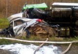 Смертельное ДТП в Вологодской области: Трое погибших людей и один мертвый доберман