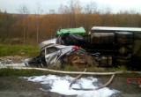 Смертельное ДТП в Вологодской области: Трое погибших людей и один мертвый доберман