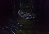 Смертельное ДТП на трассе Вологда - Новая Ладога: Фуры разбиты, джип собирают по ближайшему лесу (ФОТО) 