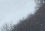 Неизвестный герой спас утопающего на реке Вологда пару часов назад (ФОТО)