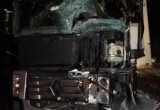 Смертельное ДТП на трассе под Вологдой: ГАЗель и фура не поделили дорогу в лобовом столкновении (ФОТО) 