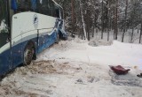 В Вологодской области улетел в кювет автобус с 30 пассажирами, есть пострадавшие (ФОТО) 