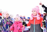 В «Лыжне России» в Вологде приняли участие около 5 тысяч человек (ФОТО)