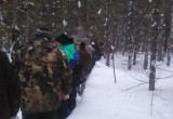 Харовчан заставляют 2 часа стоять в очереди в лесу, чтобы добыть дрова (ФОТО) 
