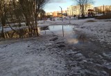 Фрязиновский парк уходит под воду