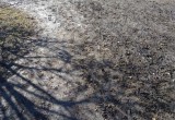 Вологда не в порядке: сплошная грязь: что осенью, что весной. 