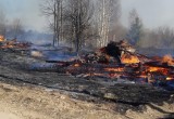 Три дома сгорели в деревне под Устюжной из-за неадекватного жильца (ФОТО)