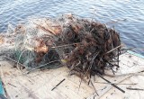 Шесть «рыбных» браконьеров поймали во время нереста в Вологодской области (ФОТО)