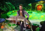 Все в цирк! В Вологду приезжает новое шоу Владимира Дерябкина «Мир Джунглей»