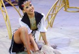 Все в цирк! В Вологду приезжает новое шоу Владимира Дерябкина «Мир Джунглей»