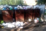 Вологда не в порядке: мусор на Мишкольцкой