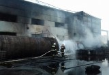 Крупный пожар в Череповецком районе: утром горел пункт утилизации автомобилей 