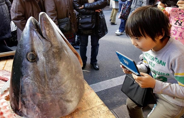 Рыбный фестиваль в Японии