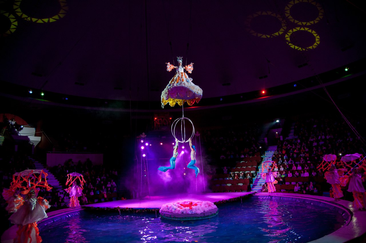 Московский цирк на воде в Вологде