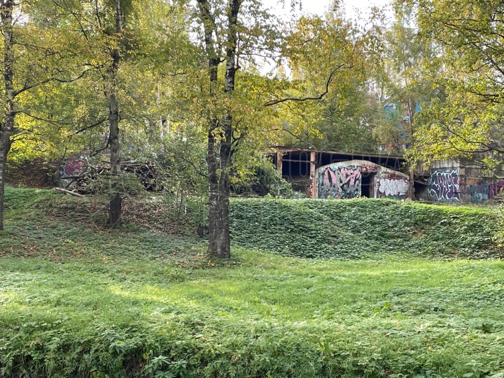 XIX