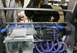 Вологодские коровы под контролем автоматики