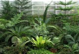 В Вологде откроется ботанический сад