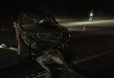 В Вологодской области выскочивший на дорогу лось убил водителя