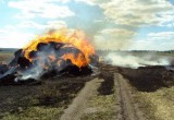 100 рулонов сена уничтожено огнем в Вологде