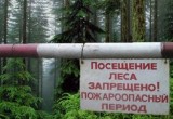 В Вологодском и Грязовецком районах объявлен наивысший 5 класс пожароопасности