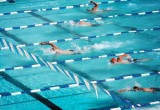 Вологжане выиграли восемь медалей на Чемпионате СЗФО по плаванию